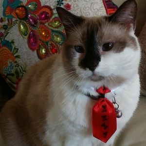 Meet your Posher, Arlita